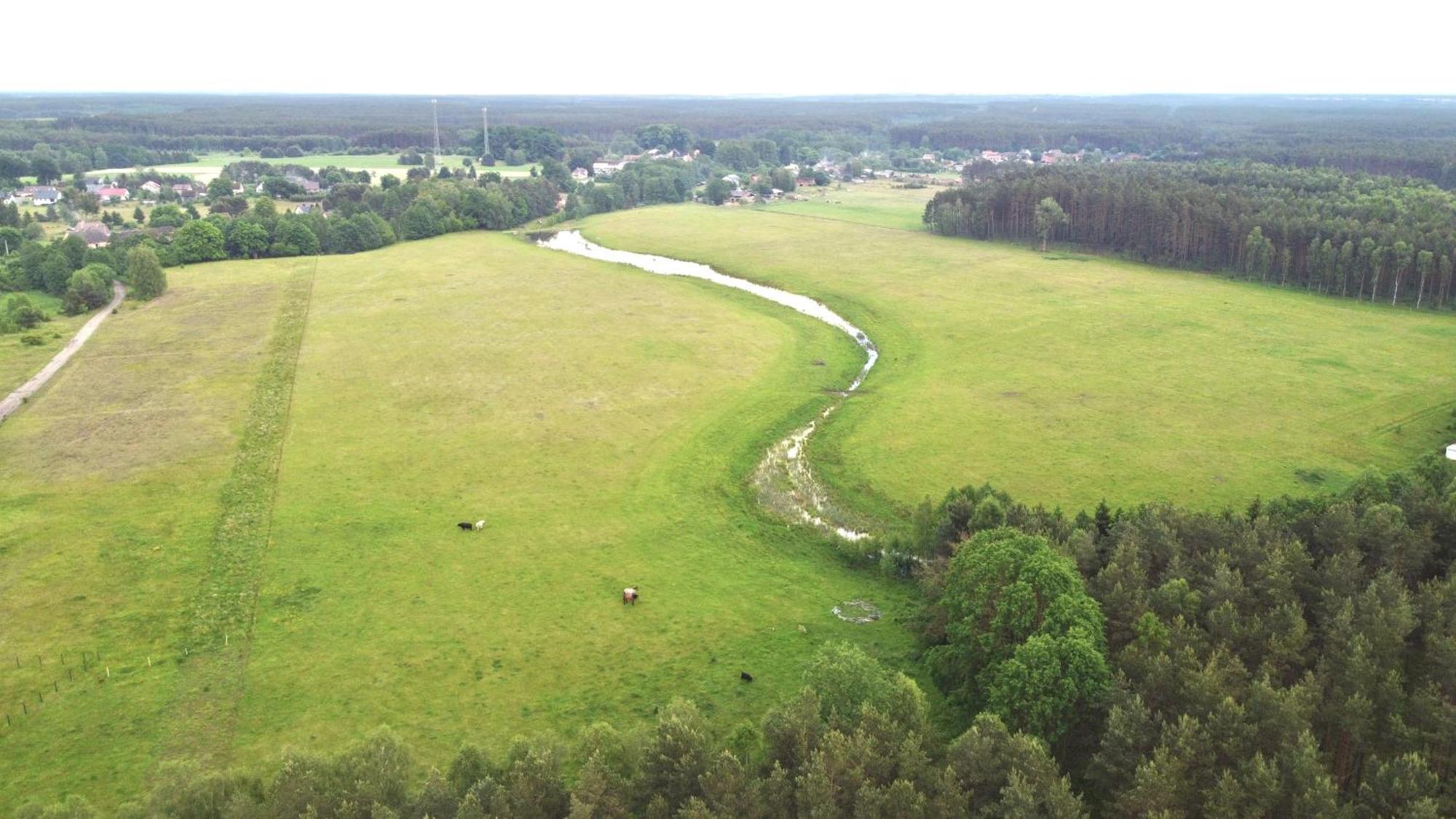 Mimi Boutique Farm Stay & Cuisine Niekursko Eksteriør billede